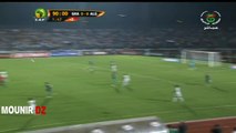 Algérie vs Ghana 0-1 : Coupe d'Afrique des Nations (CAN 2015)