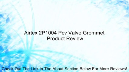 Airtex 2P1004 Pcv Valve Grommet Review