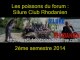les poissons du forum du : Silure Club Rhodanien