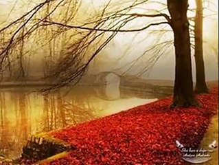 Mere Mehboob Meri Jaan-e-Jigar Present By ♥¸.•-SUBOHY-•.¸♥