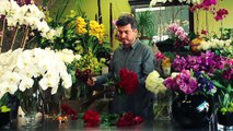 Flower Arrangements - Rose Wedding Bouquet Ideas
