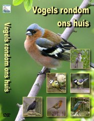 Vogels rondom ons huis