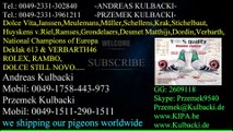 AUCTION.KIPA.BE WELCOME TO MY PIGEONS AUCTION BEST PIGEONS OF EUROPE FROM CHAMPION MÜLLER & KULBACKI