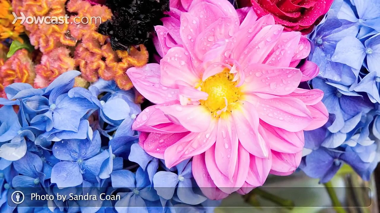 6 Tips about Blue Flowers - Wedding Flowers - YouTube