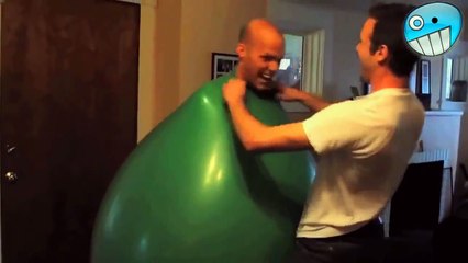 Funny Videos 2015 Funny Fails Funny Cat Video Funny Cats Funny Vines Funny Animals