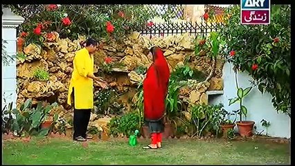 Bahu Begam Episode 103
