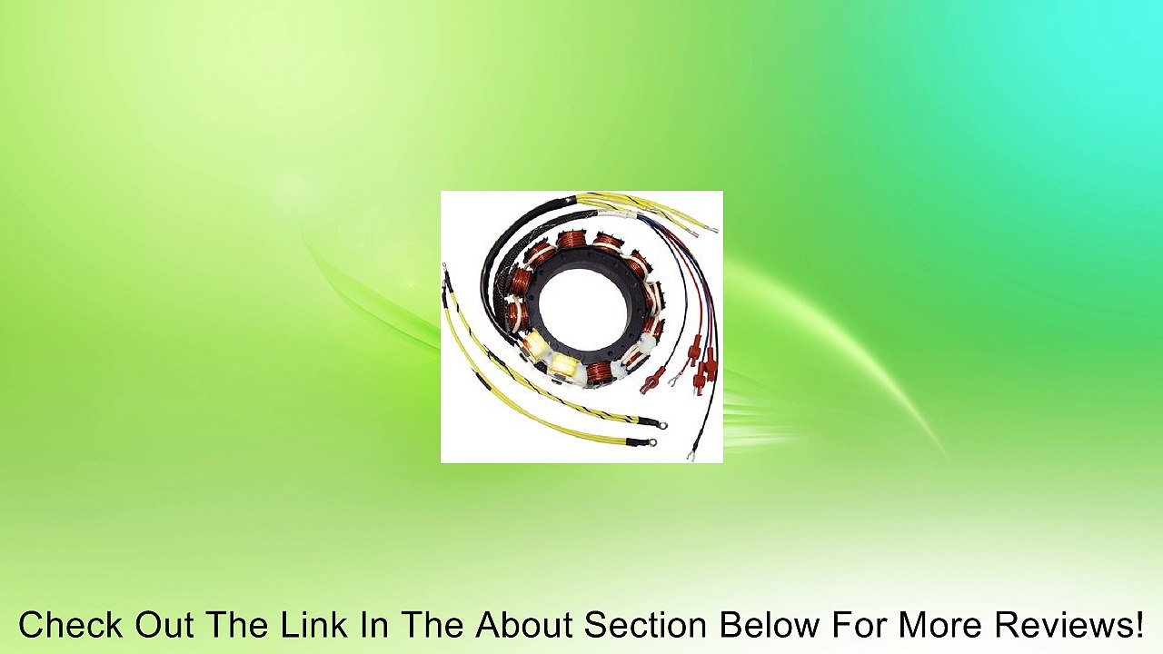 Mercury Stator 40 Amp Review