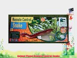 Animal Planet Remote Control Snake