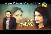 Zindaghi Tum Ho Promo Episode 7 on Hum Tv  23rd January 2015