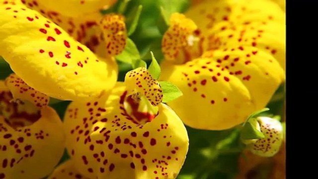 네­임­드­사­다­리 / 네­임­드­사­다­리 ──ⓧⓧⓧⓧ──ＫＡ９ＭＡ．ＣＯＭ──ⓧⓧⓧⓧ──네­임­드­사­다­리 / 네­임­드­사­다­리