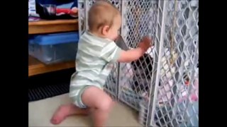 Funniest Baby Videos - Funny Baby Videos Part 9