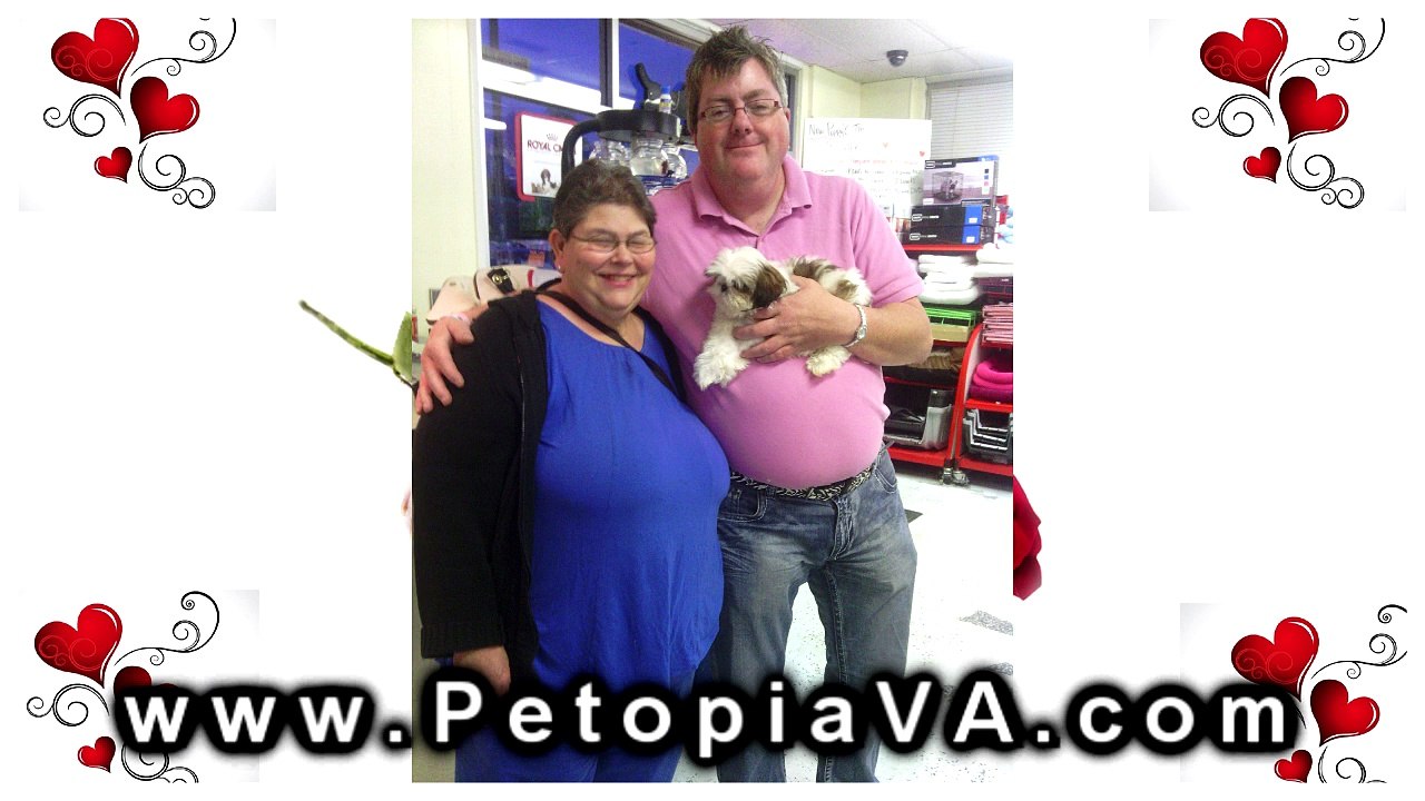 Puppies For Sale Stafford VA | Petopia | 866.738.7972