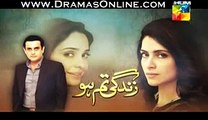 Zindagi Tum Ho Episode 7 Promo on Hum Tv
