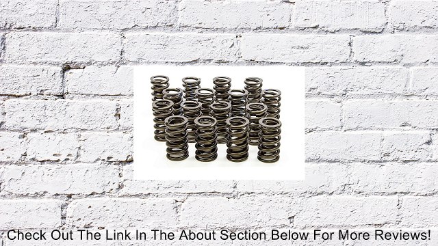 Isky Racing Cams 295-D 1.26 Valve Spring Review