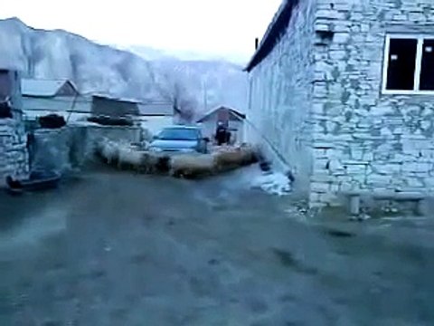 Funny sheep surrounded a car - moutons ont encerclé une voiture