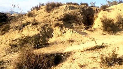 OMG   This Is Very Dangerous Stunt