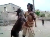 LoL   Enjoy Romance With Donkey