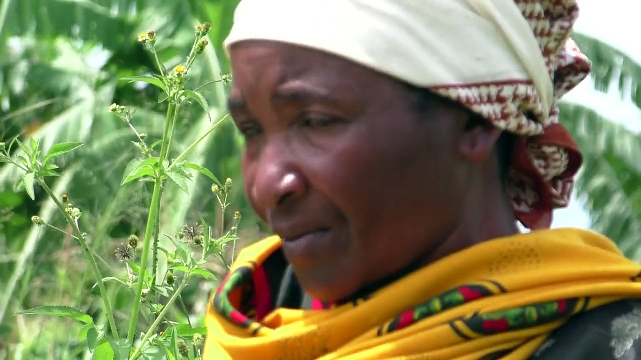 Hexenwahn in tansania