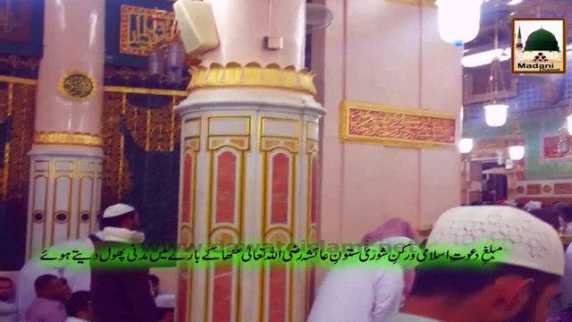 Madani Phool 16 - Rukn-e-Shura Satoon-e-Aisha Masjid-e-Nabvi Sharif Kay Baray Madani Phool Detay Hue