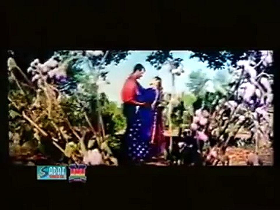 panjabi song