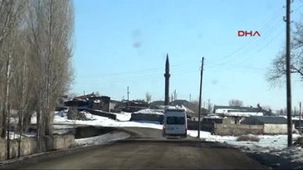 Kars Koyunlarla Kuzuların Buluşma Anı