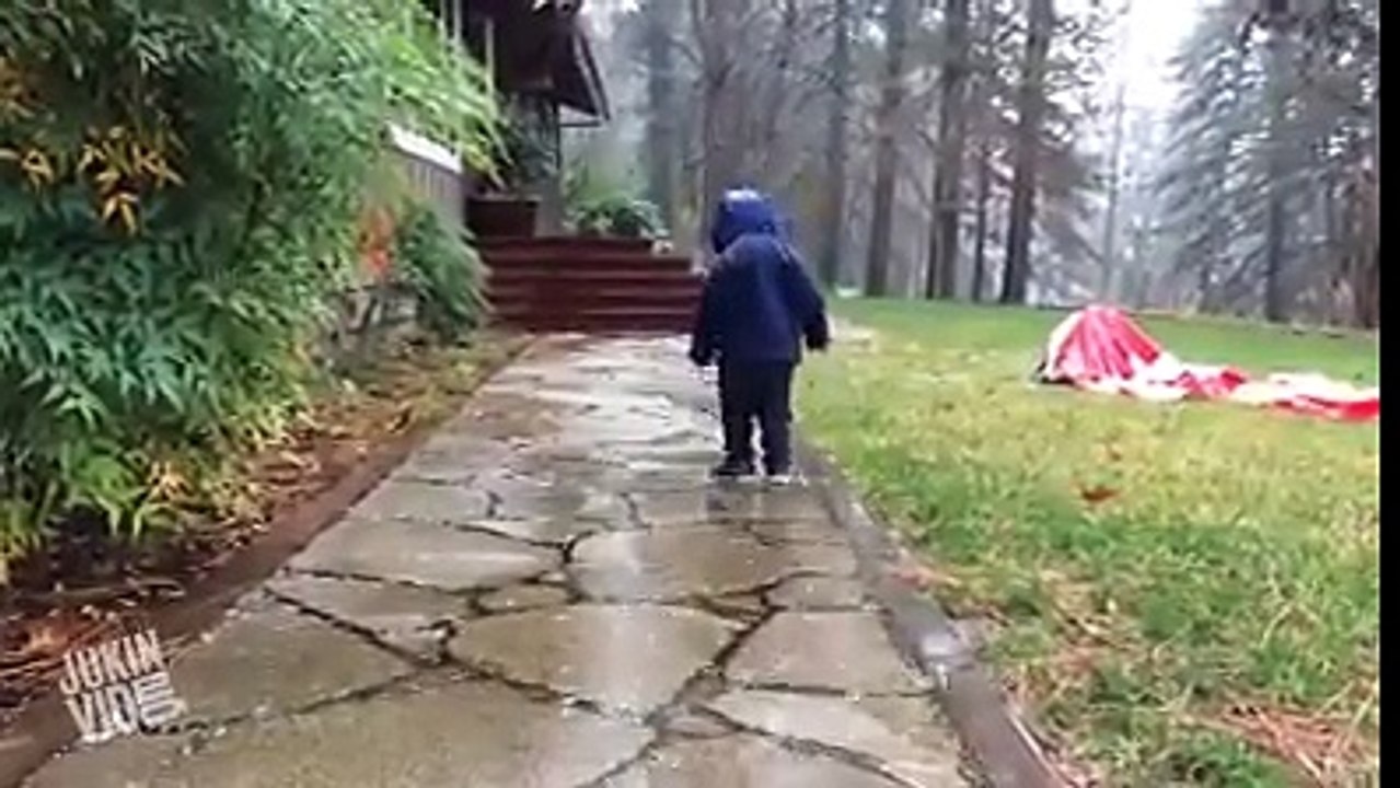 Funny videos