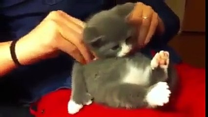 Hafta sonu yorgunluğu böyle atılır