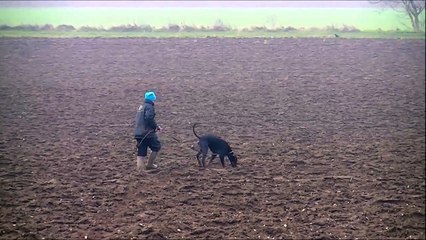 Minex bendit entrainement pistage 230115 (2 ans)