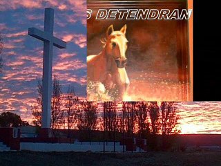 prohibido prohibir centro gallego enero 2015