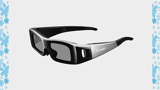 Sharp HE AN310G10-S Active Matrix 3D Glasses - Black