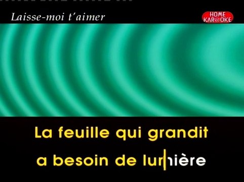 KARAOKE MIKE BRANT - Laisse moi t'aimer