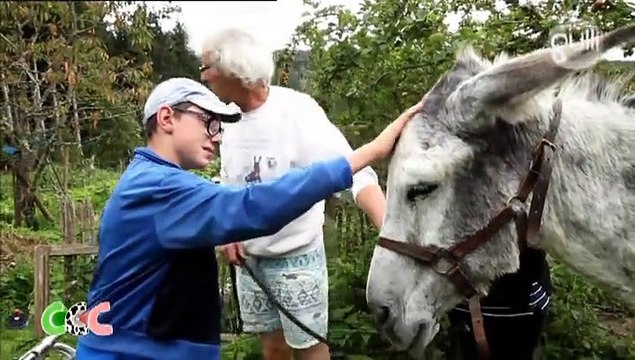 Copains comme cochons - Saison 1 - Emission 5 PTIT ANE - Gulli