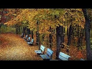 koi jaane ya na jaane full song Present By ♥¸.•-SUBOHY-•.¸♥