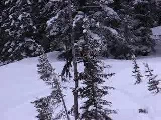 snowmobile hillclimb