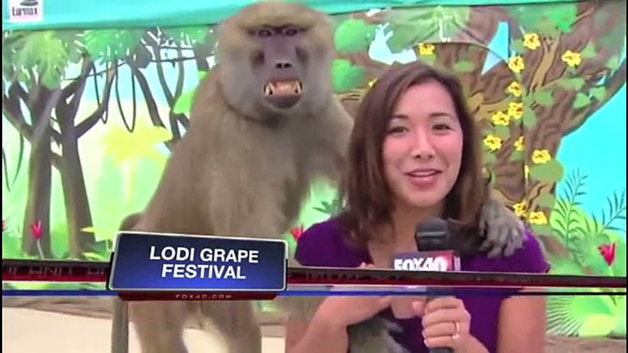 Śmieszne filmy - Zbiór śmiesznych wpadek prezenterów TV funny tv movie