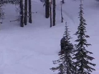 snowmobile hillclimb