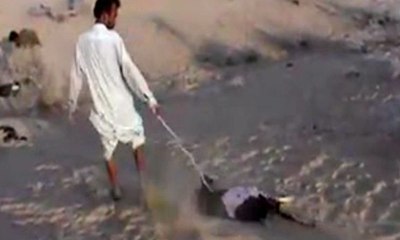 Mass Animal Deaths in Sukkur