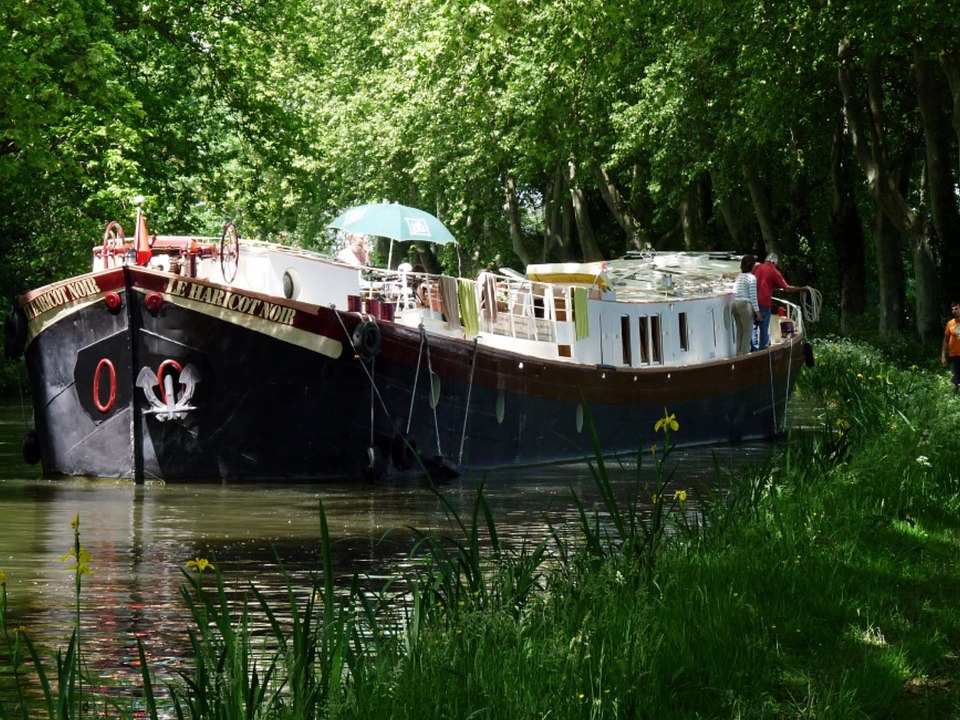 mai 5 - 8, 2014 aude