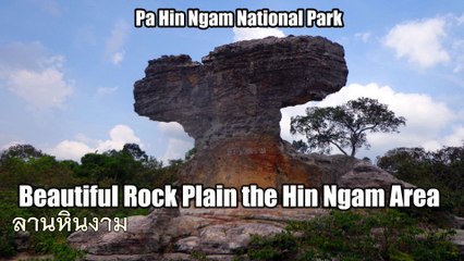 Beautiful Rock Plain the Hin Ngam Area ลานหินงาม