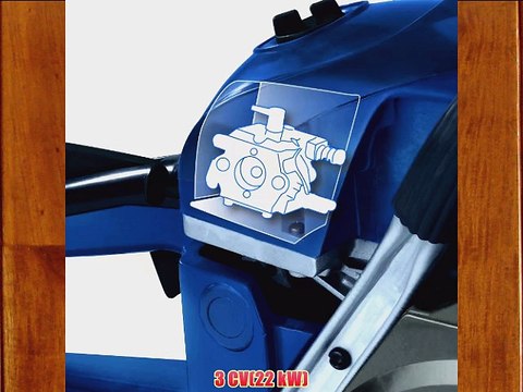 Einhell BG-PC 2245 Tron?onneuse thermique