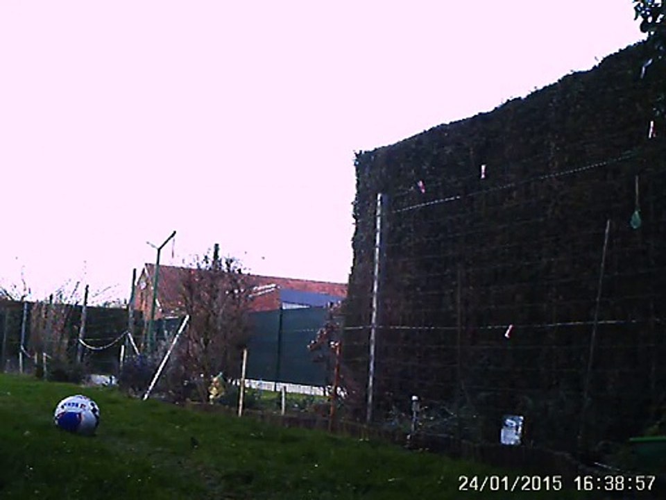 IMAG0010