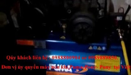 Đơn vị ủy quyền máy nén khí Puny, máy nén khi pony 1hp tại Việt nam