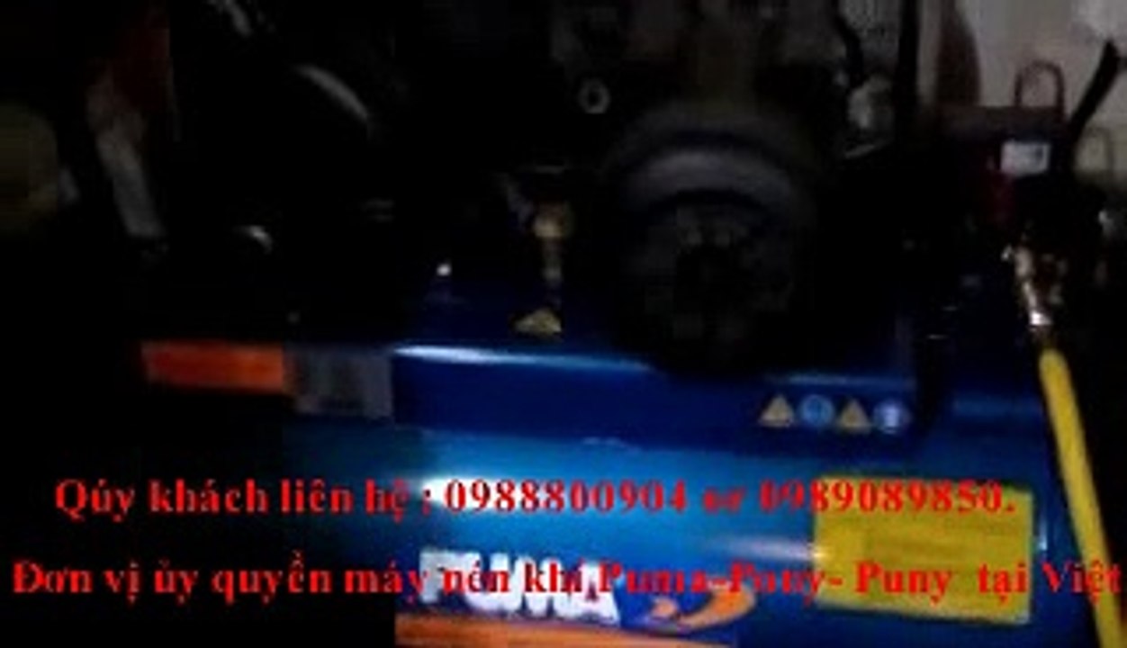 Đơn vị ủy quyền máy nén khí Puny, máy nén khi pony 1hp tại Việt nam