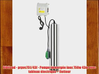 Ribiland - prpvc751/43f - Pompe immerg?e inox 750w 43m avec tableau ?lectrique   flotteur