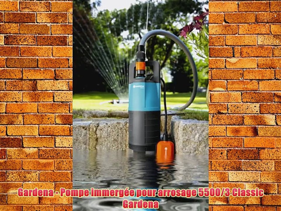 Gardena - Pompe immerg?e pour arrosage 5500/3 Classic Gardena