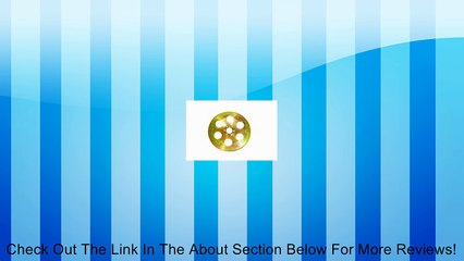 Meziere FP319 168 Tooth Billet Flexplate for GM LS1 Review