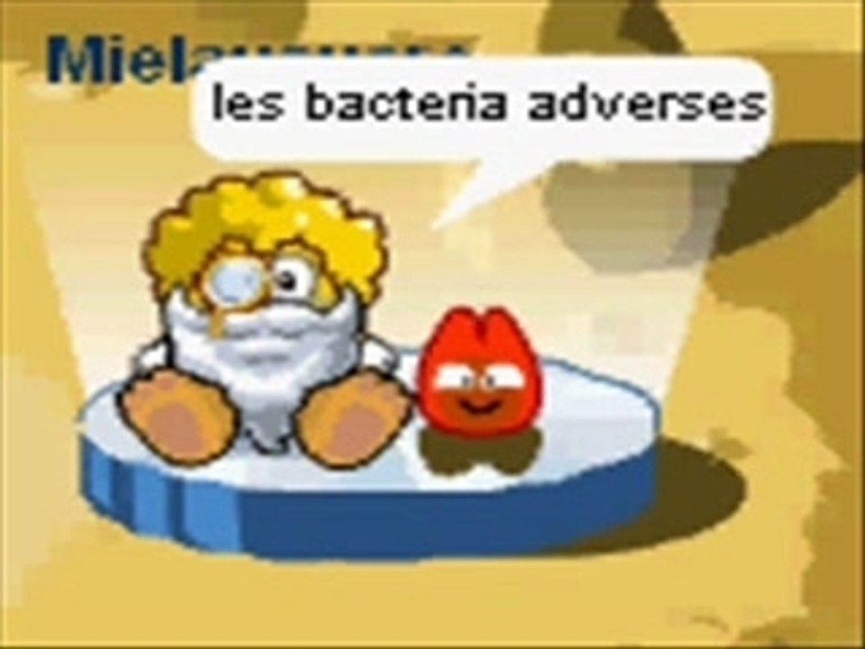Bacteria