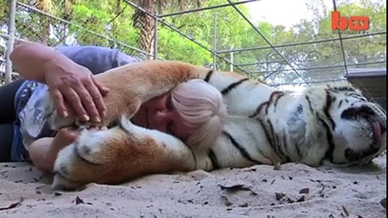 Pet Lion at house
