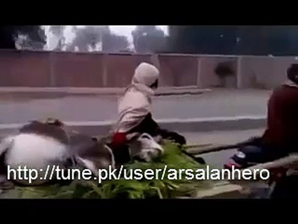 Funny video in Pakistan