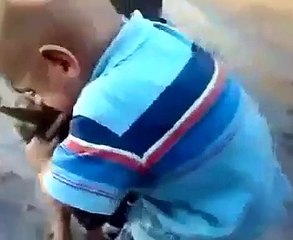 Funny video new 2015 clips 38.Baby and Dog Fight HAHA.